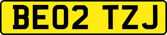 BE02TZJ