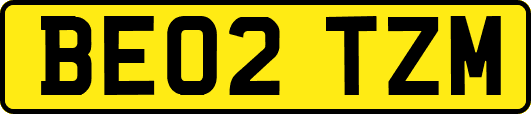BE02TZM