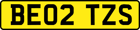 BE02TZS