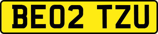 BE02TZU