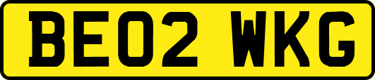 BE02WKG