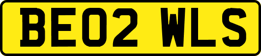 BE02WLS