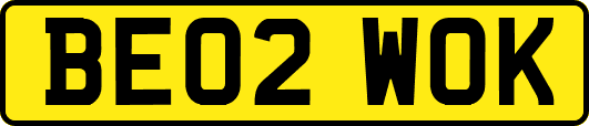 BE02WOK