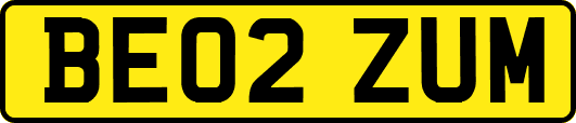 BE02ZUM