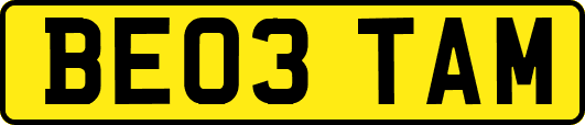 BE03TAM