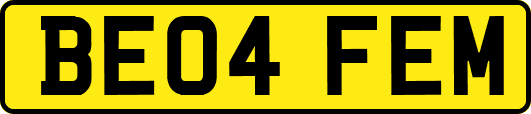 BE04FEM