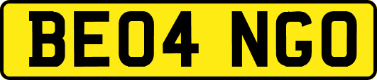 BE04NGO
