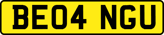 BE04NGU