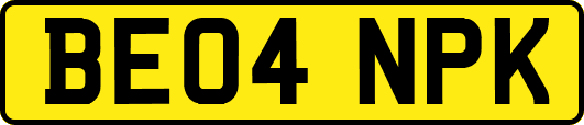 BE04NPK