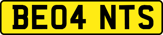 BE04NTS