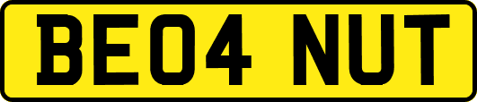 BE04NUT