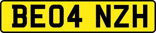 BE04NZH