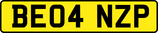 BE04NZP
