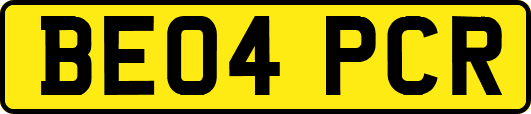 BE04PCR
