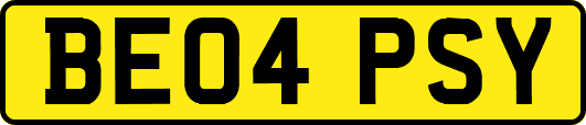 BE04PSY
