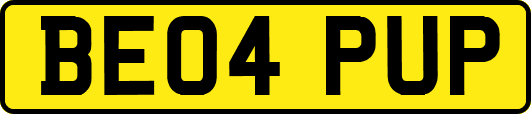 BE04PUP
