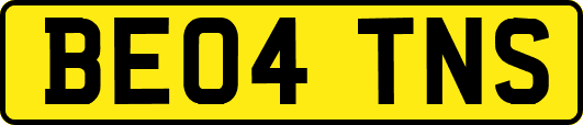 BE04TNS