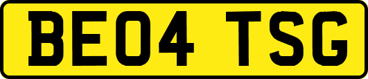 BE04TSG