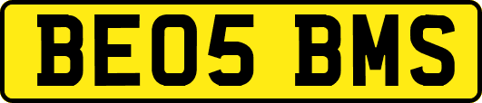 BE05BMS