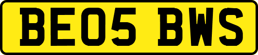 BE05BWS