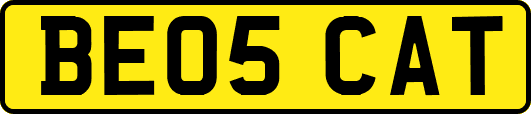 BE05CAT
