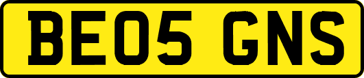 BE05GNS