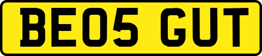 BE05GUT