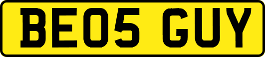 BE05GUY