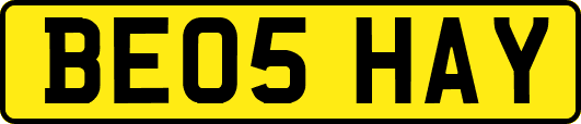 BE05HAY