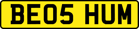 BE05HUM