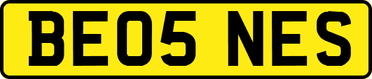 BE05NES