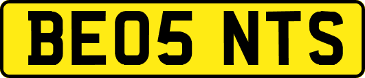 BE05NTS