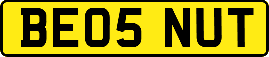 BE05NUT