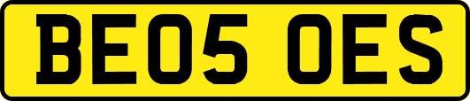 BE05OES