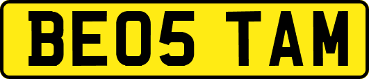 BE05TAM