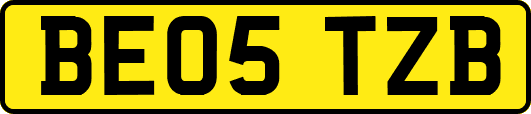 BE05TZB