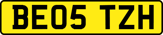 BE05TZH