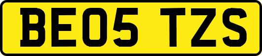 BE05TZS