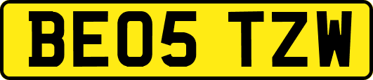 BE05TZW