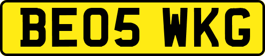 BE05WKG