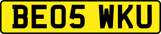BE05WKU