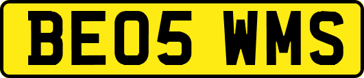 BE05WMS