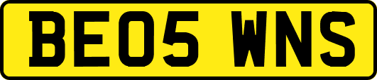 BE05WNS