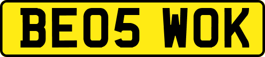 BE05WOK