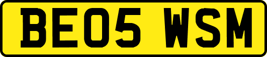 BE05WSM