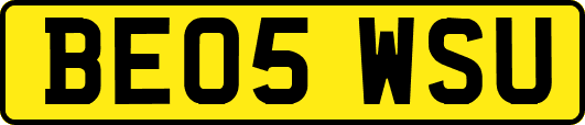 BE05WSU