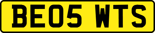 BE05WTS