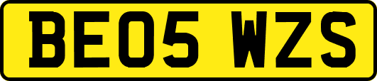BE05WZS