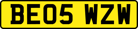 BE05WZW