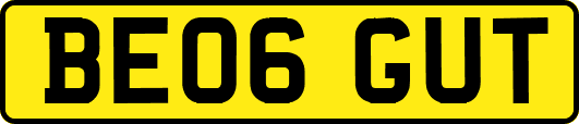BE06GUT